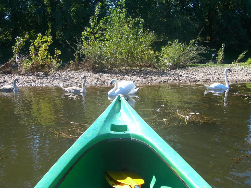 Moulin Des Sandaux Sainte-Foy-la-Grande Zewnętrze zdjęcie