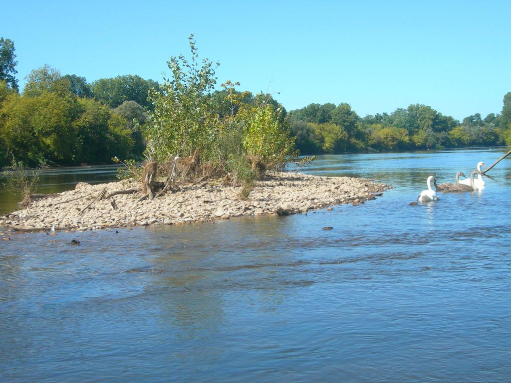 Moulin Des Sandaux Sainte-Foy-la-Grande Zewnętrze zdjęcie