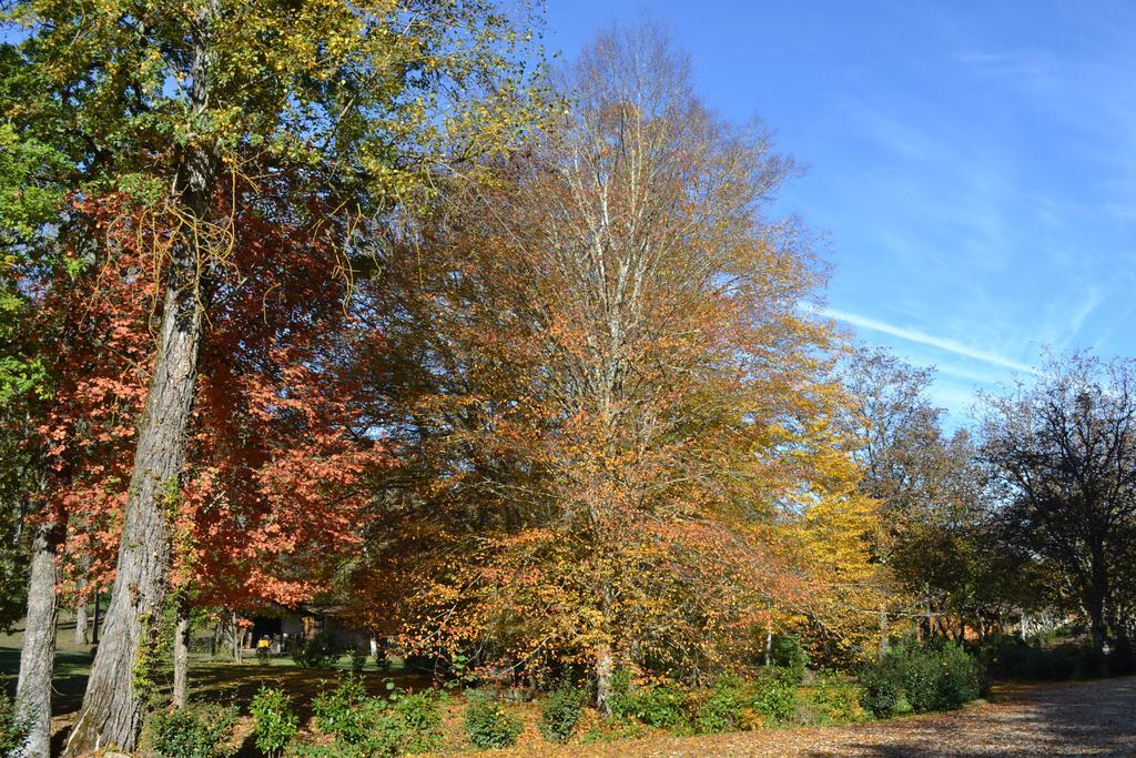 Moulin Des Sandaux Sainte-Foy-la-Grande Zewnętrze zdjęcie