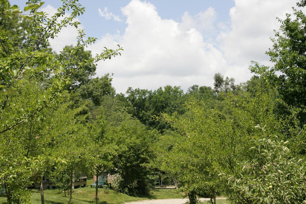 Moulin Des Sandaux Sainte-Foy-la-Grande Pokój zdjęcie
